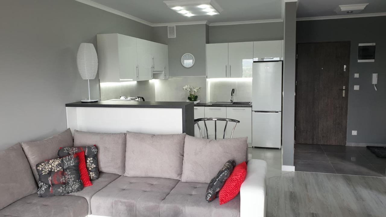 Apartamenty Podzamcze 瓦乌布日赫 外观 照片