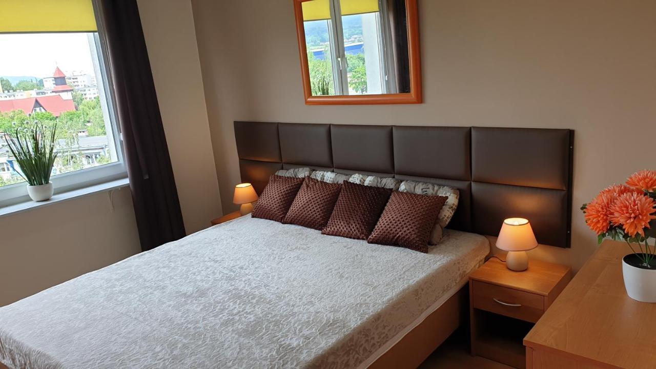 Apartamenty Podzamcze 瓦乌布日赫 外观 照片