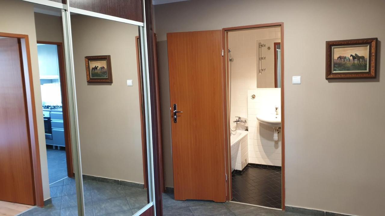 Apartamenty Podzamcze 瓦乌布日赫 外观 照片