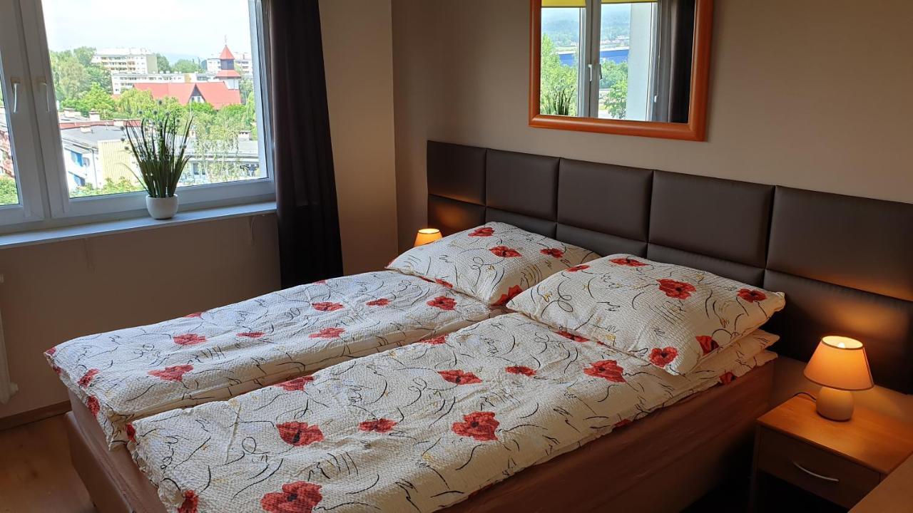 Apartamenty Podzamcze 瓦乌布日赫 外观 照片